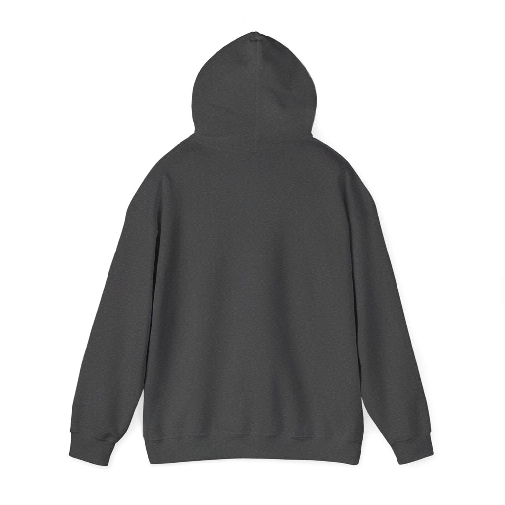 Socially Offline Hoodie — Funny Introvert Graphic Pullover