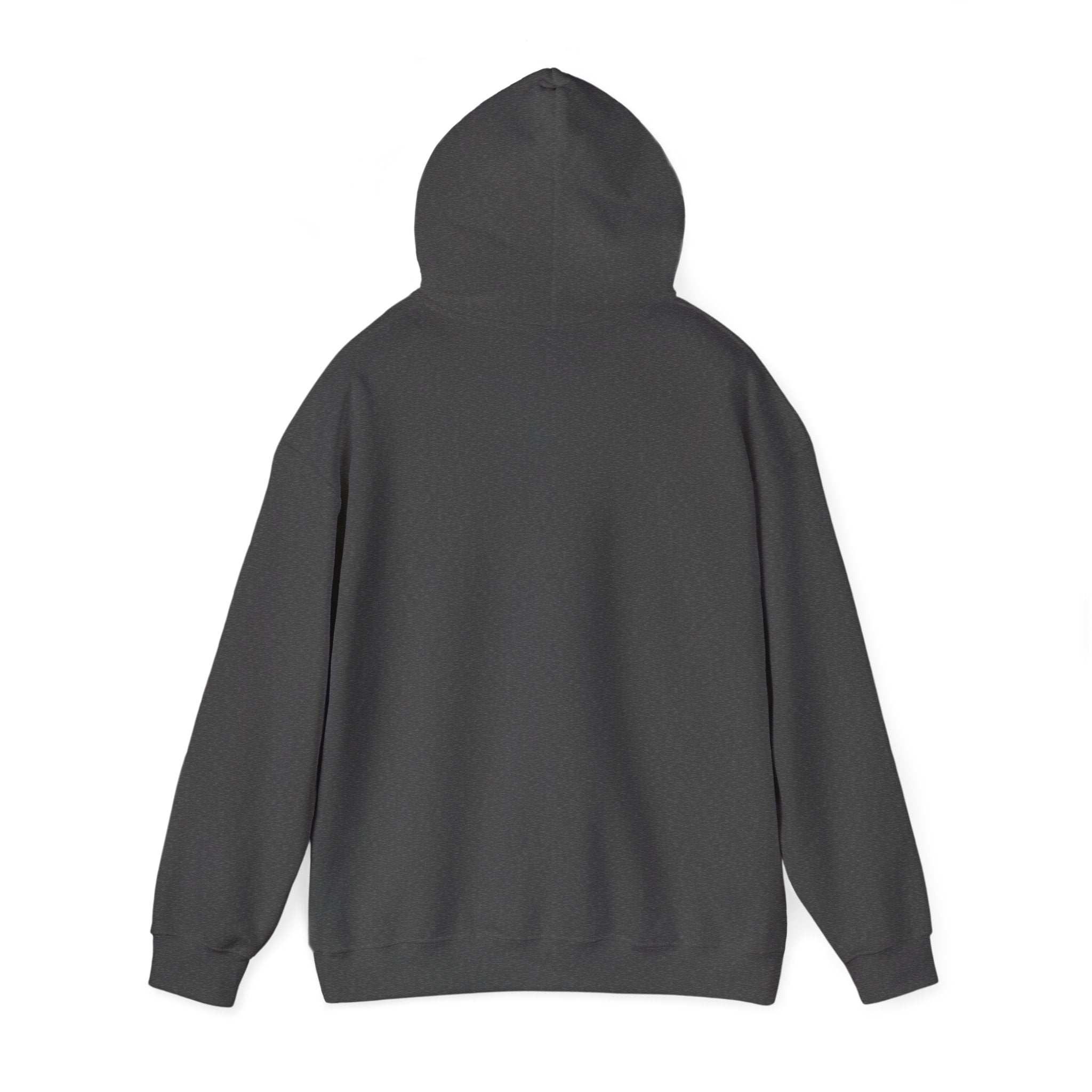 Socially Offline Hoodie — Funny Introvert Graphic Pullover