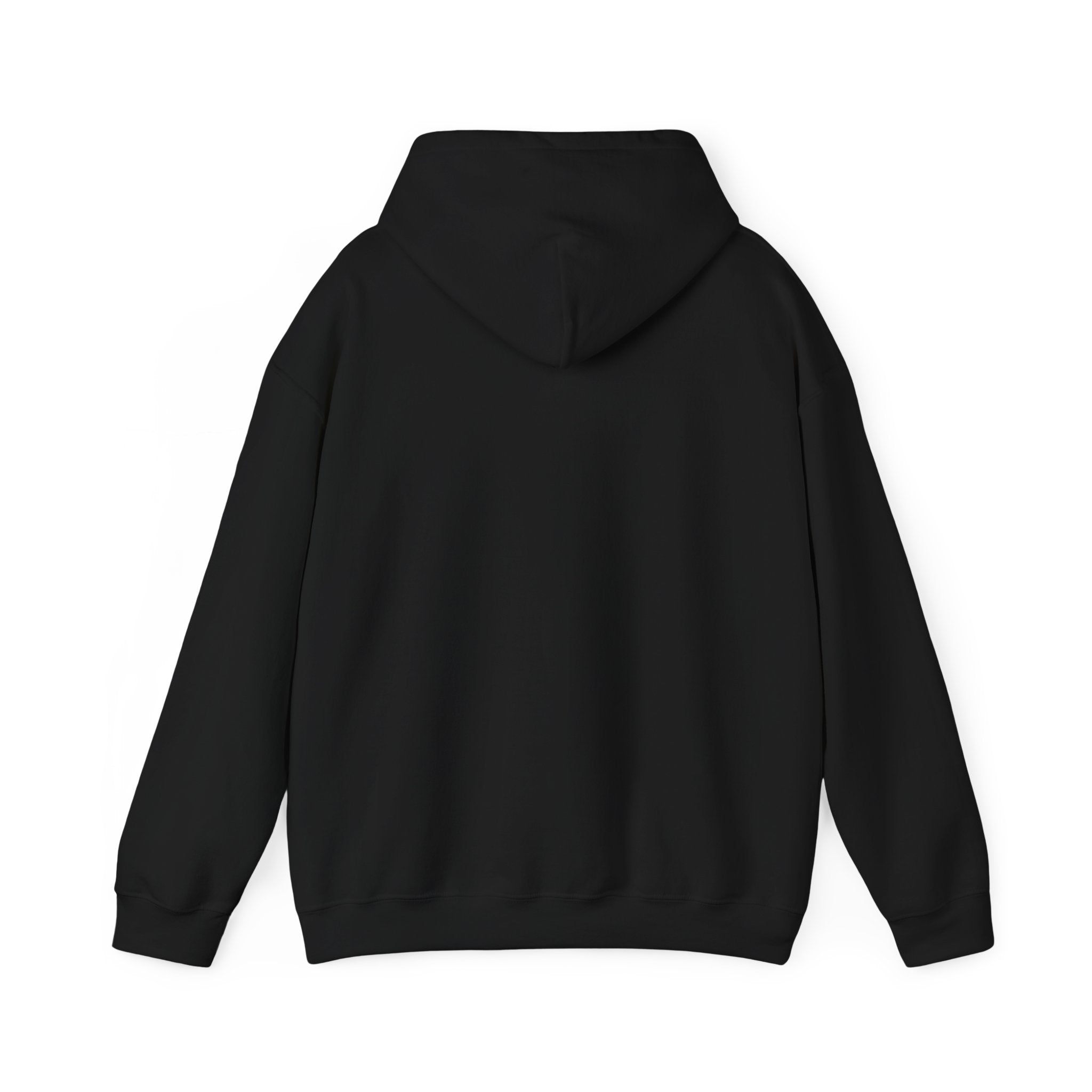 Socially Offline Hoodie — Funny Introvert Graphic Pullover