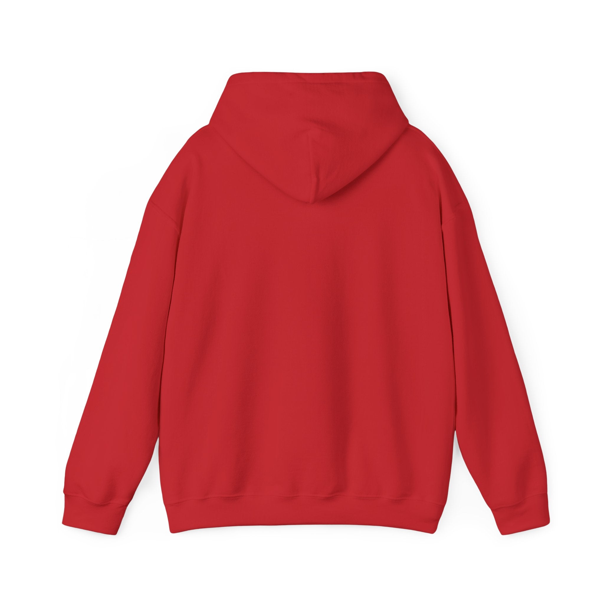 Socially Offline Hoodie — Funny Introvert Graphic Pullover