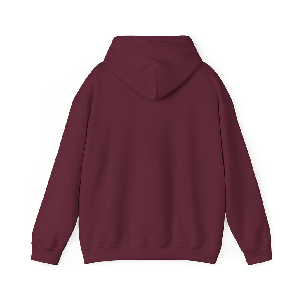 Socially Offline Hoodie — Funny Introvert Graphic Pullover