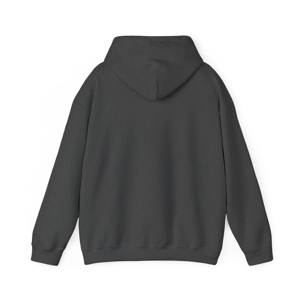Socially Offline Hoodie — Funny Introvert Graphic Pullover