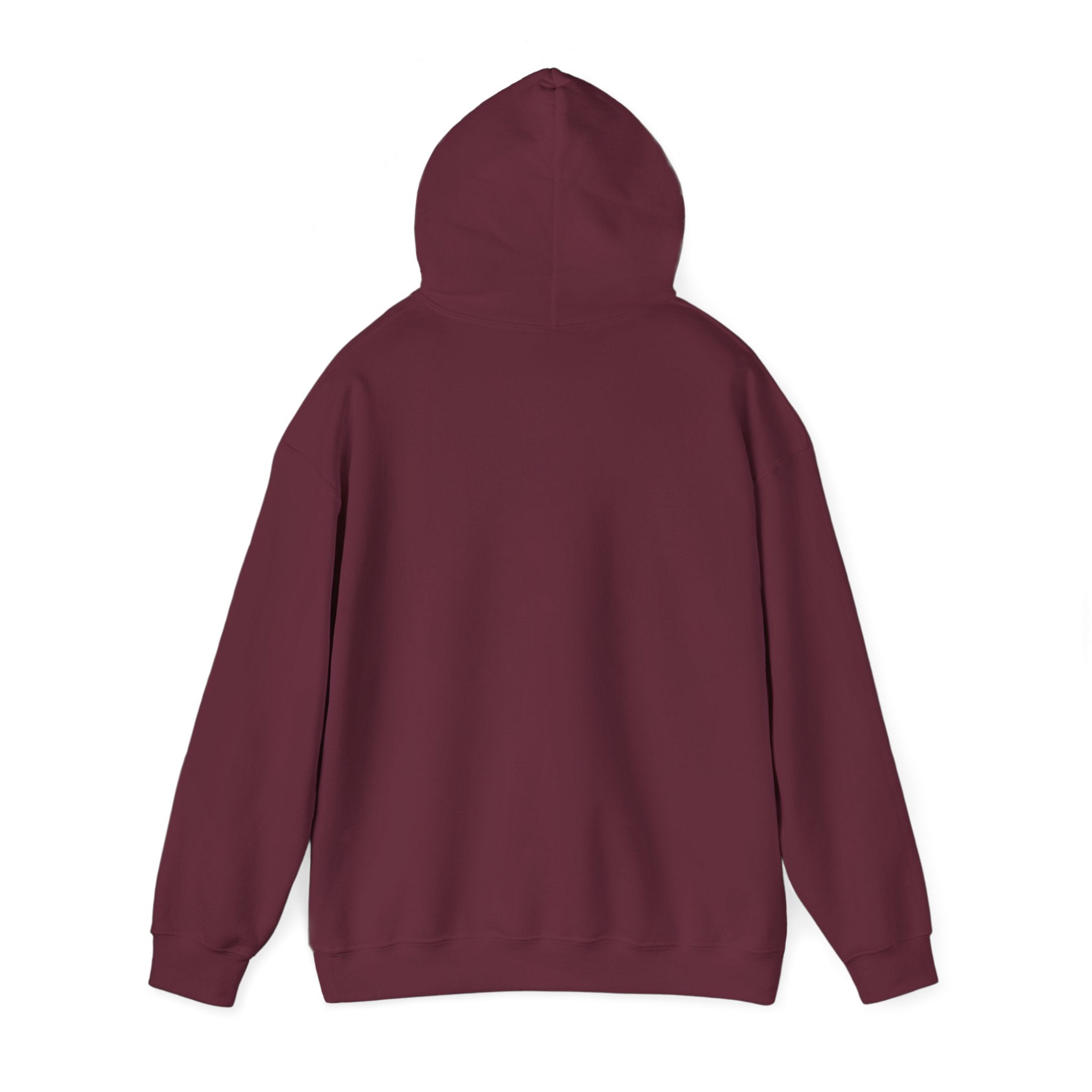 Socially Offline Hoodie — Funny Introvert Graphic Pullover