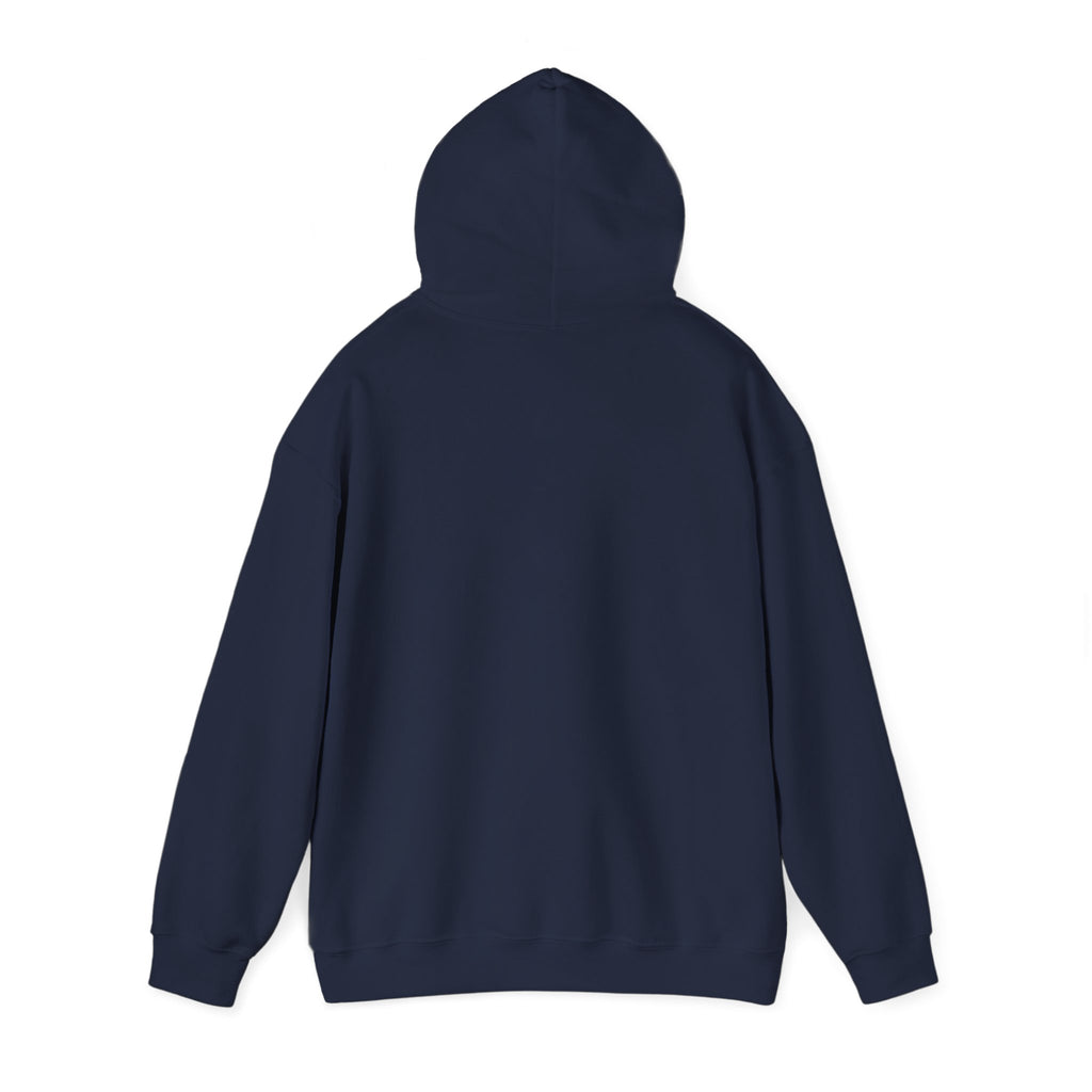 Socially Offline Hoodie — Funny Introvert Graphic Pullover