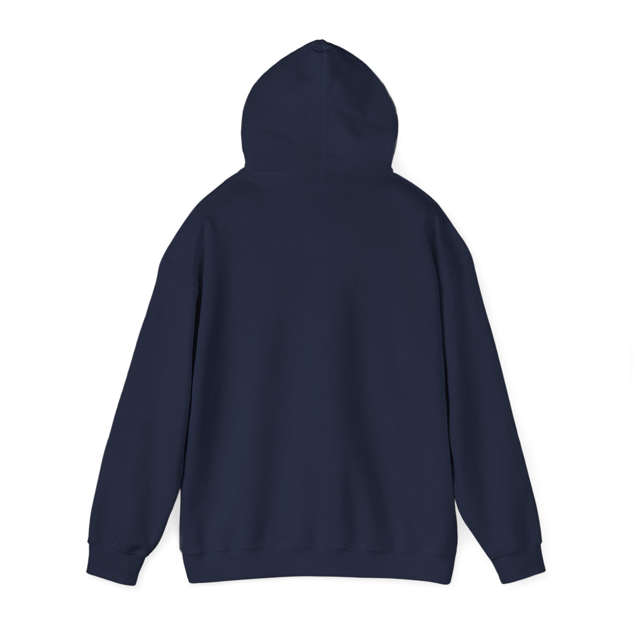 Socially Offline Hoodie — Funny Introvert Graphic Pullover